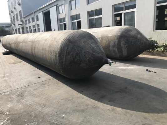 Nave che di sollevamento gli airbag subacquei che mettono in bacino aggancio commovente del crogiolo di termometro