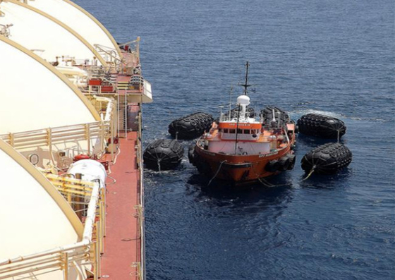 Messa in bacino del tipo di gomma pneumatico offshore di Yokohama dei cuscini ammortizzatori della barca